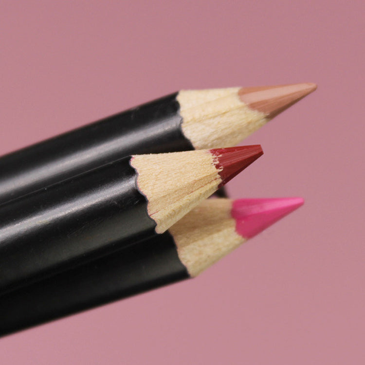 Crayon à lèvres végétalien multicolore imperméable et longue durée Amazon Sexy
